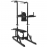 Lifespan Fitness CORTEX PTX-100 Power Tower 